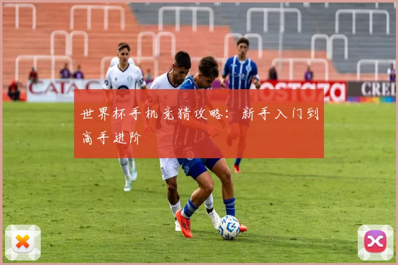 世界杯手机竞猜攻略：新手入门到高手进阶