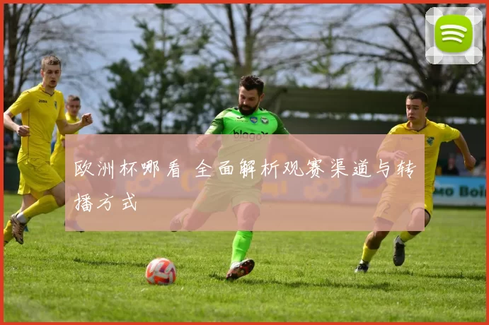 欧洲杯哪看 全面解析观赛渠道与转播方式