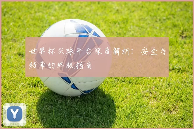 世界杯买球平台深度解析：安全与赔率的终极指南
