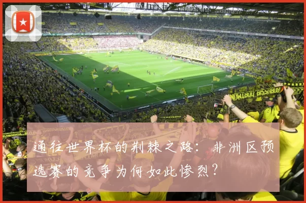 通往世界杯的荆棘之路：非洲区预选赛的竞争为何如此惨烈？