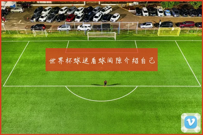 世界杯球迷看球间隙介绍自己