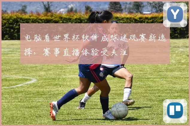 电脑看世界杯软件成球迷观赛新选择,赛事直播体验受关注