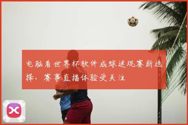 电脑看世界杯软件成球迷观赛新选择，赛事直播体验受关注