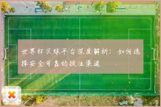 世界杯买球平台深度解析:如何选择安全可靠的投注渠道