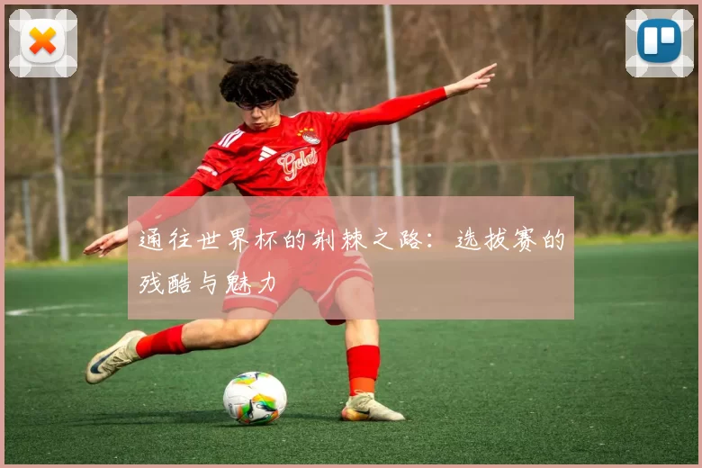 通往世界杯的荆棘之路:选拔赛的残酷与魅力
