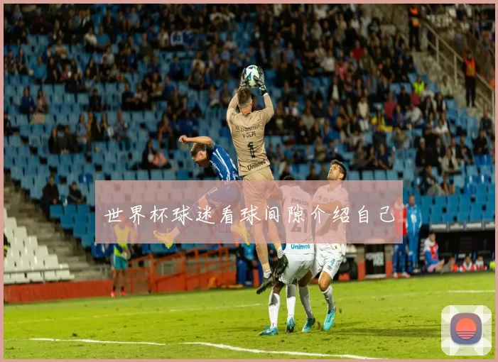 世界杯球迷看球间隙介绍自己