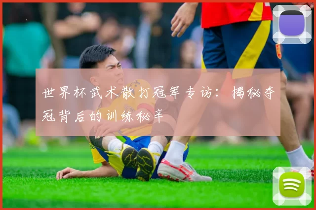 世界杯武术散打冠军专访:揭秘夺冠背后的训练秘辛