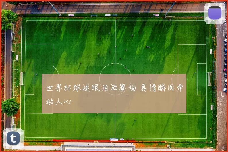 世界杯球迷眼泪洒赛场 真情瞬间牵动人心