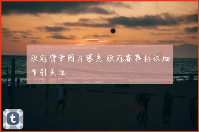 欧冠臂章图片曝光 欧冠赛事标识细节引关注