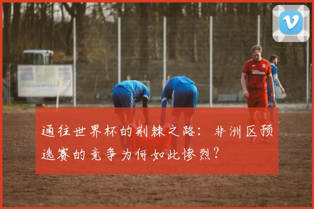 通往世界杯的荆棘之路：非洲区预选赛的竞争为何如此惨烈？